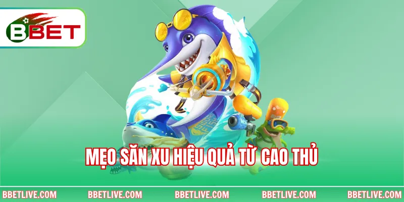 Mẹo săn xu hiệu quả từ cao thủ