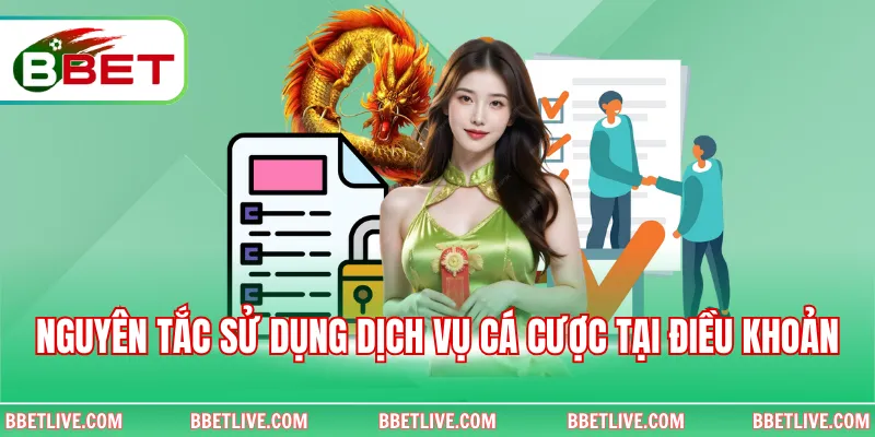 Nguyên tắc sử dụng dịch vụ cá cược tại điều khoản