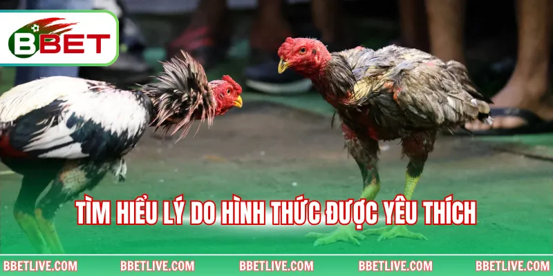 Tìm hiểu lý do hình thức được yêu thích